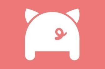 Porkbun icon